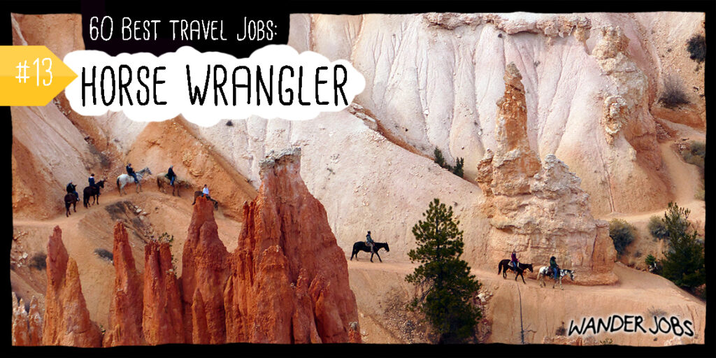 travellers jobs